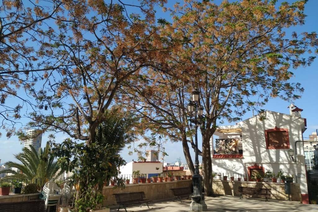San Antonio Villa Alicante Eksteriør bilde